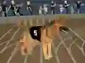 Crazy Dog Racing Fever เกมออนไลน์