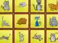 Cats Findiff เกมออนไลน์