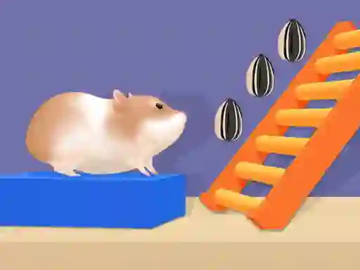 Hamster Stack Maze เกมออนไลน์