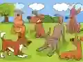 Animals Differences เกมออนไลน์