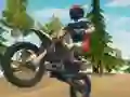 Dirt Bike Enduro Racing เกมออนไลน์