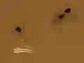 Save the crumb เกมออนไลน์