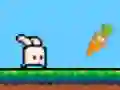 Bouncing Bunny เกมออนไลน์