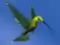 Hummingbird House Escape เกมออนไลน์