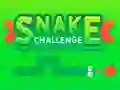 Snake Challenge เกมออนไลน์