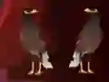 Peikin Duck Escape เกมออนไลน์
