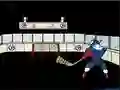 Capitaine Cage Hockey เกมออนไลน์