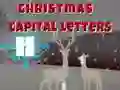 Christmas Capital Letters เกมออนไลน์