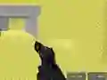 Pixel Combat Multiplayer เกมออนไลน์
