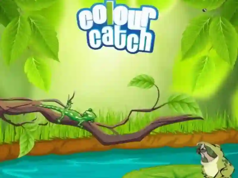 Colour Catch เกมออนไลน์