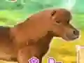 My Dear Pony เกมออนไลน์