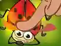 Insect Cush เกมออนไลน์