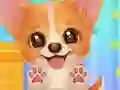 Adopt Your Pet Puppy เกมออนไลน์