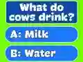 Trivia Best Family Quiz เกมออนไลน์