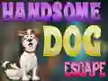 Handsome Dog Escape เกมออนไลน์