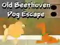 Old Beethoven Dog Escape เกมออนไลน์