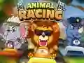 Animal Racing เกมออนไลน์