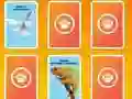 National Geographic Kids Matching เกมออนไลน์