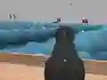 Ships 3D เกมออนไลน์