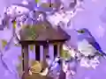Wonderful Humming Bird Land Escape เกมออนไลน์