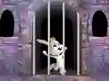 Victory Rabbit Escape เกมออนไลน์