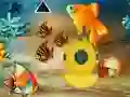 Save The Mother Fish เกมออนไลน์