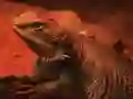 Dragon Lizard Jigsaw เกมออนไลน์