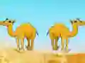 Desert Gold Rush The Great Treasure Escape เกมออนไลน์