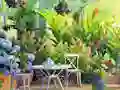 Find The Cute Pandas เกมออนไลน์