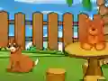 Funny Iguana Escape เกมออนไลน์