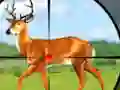 Wild Hunt Hunting Games 3D เกมออนไลน์