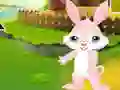 Find The Buddy Rabbit เกมออนไลน์