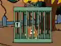 Staffordshire Bull Terrier Escape เกมออนไลน์