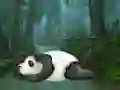 Wakeup The Sleeping Panda เกมออนไลน์