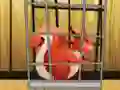 Rescue The Red Squirrel From Cage เกมออนไลน์