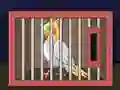 Release The Cockatiel Bird เกมออนไลน์