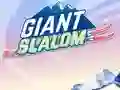 Giant Slalom เกมออนไลน์