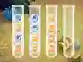Sort Bubbles เกมออนไลน์