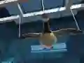Goose Museum เกมออนไลน์