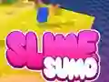 Sumo Slime 3D เกมออนไลน์