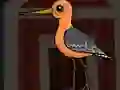 Cute Godwit Escape เกมออนไลน์