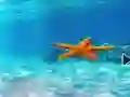 Escape From Underwater Starfish เกมออนไลน์