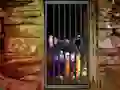 Hidden Cat Escape เกมออนไลน์