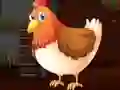 Cute Brahma Chicken Escape เกมออนไลน์