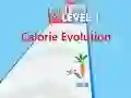 Calorie Evolution เกมออนไลน์