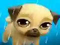 My Virtual Pet Louie the Pug เกมออนไลน์