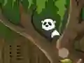 Panda Jungle Escape เกมออนไลน์