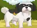 Dogs Spot the Diffs Part 2 เกมออนไลน์