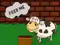 Find The Cow Feed เกมออนไลน์