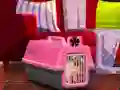 Escape The Small Pug เกมออนไลน์